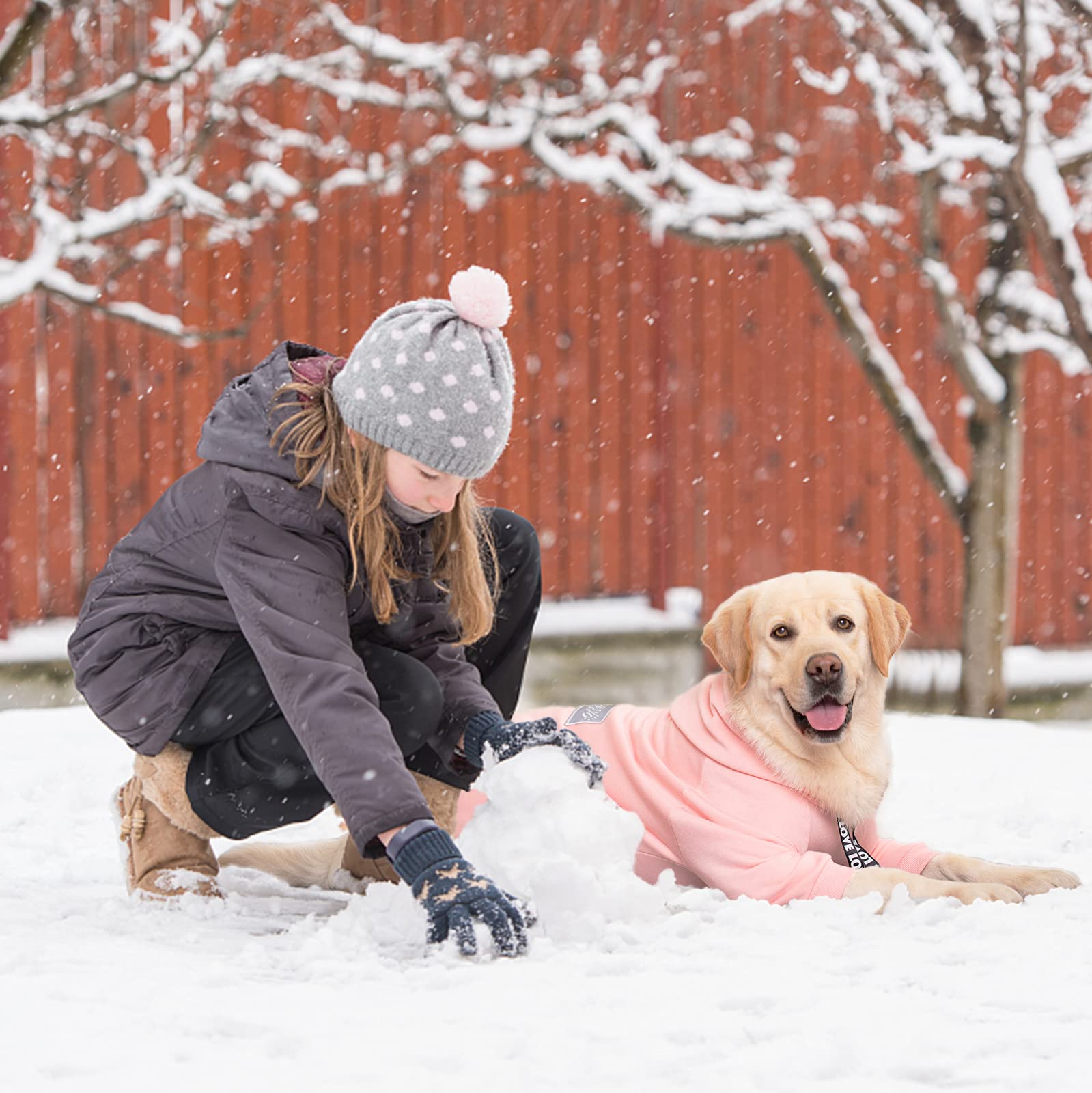 Yeapeeto dog hoodie pink care-wash image shows machine washable fabric