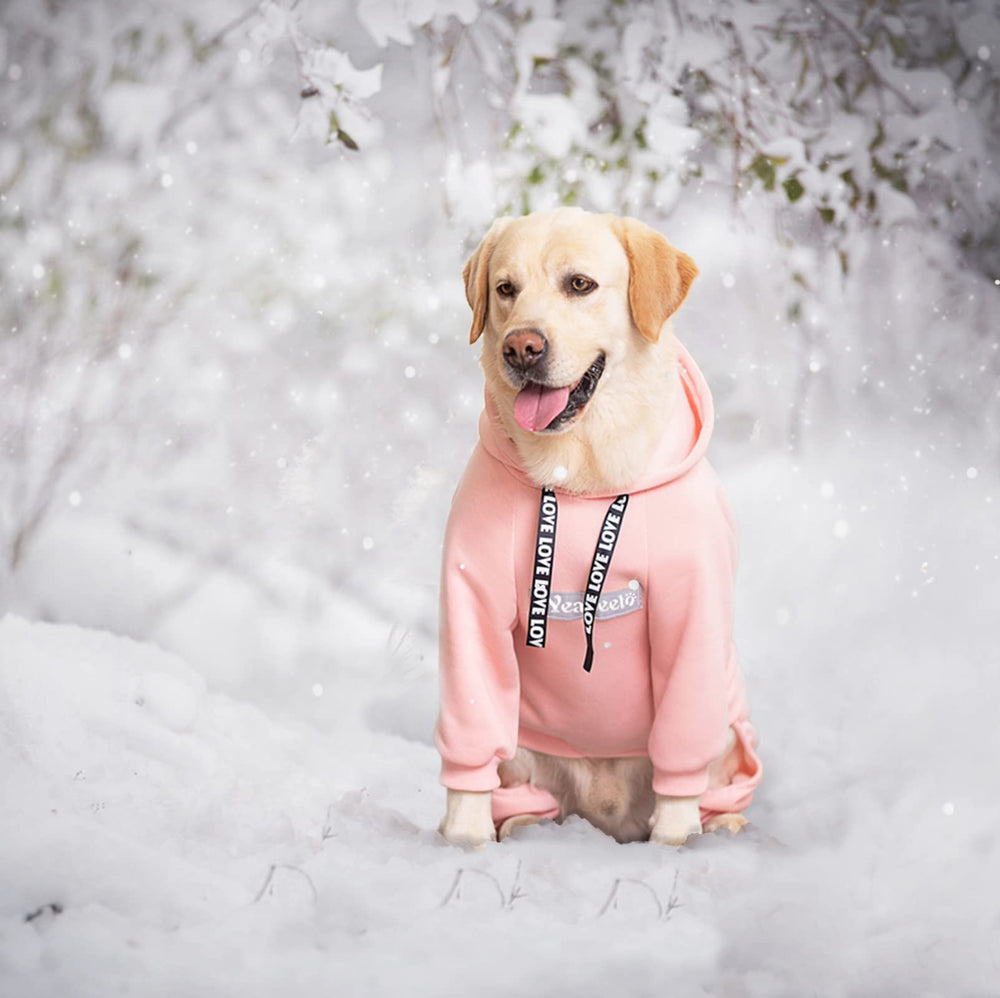 Yeapeeto dog hoodie pink fleece lining closeup highlights soft warmth