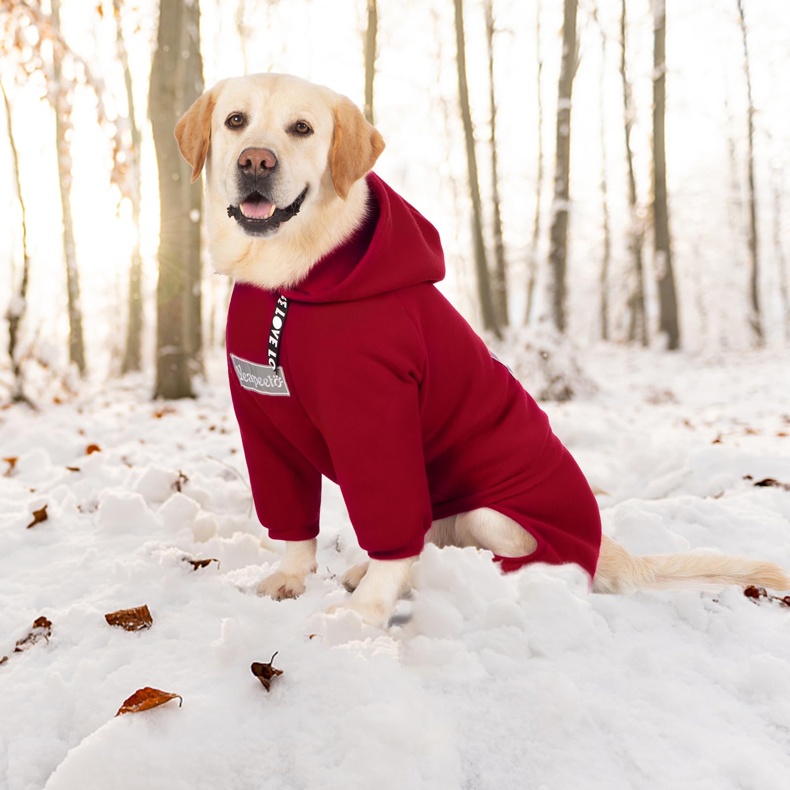 Yeapeeto dog hoodie machine-washable for easy at-home care.