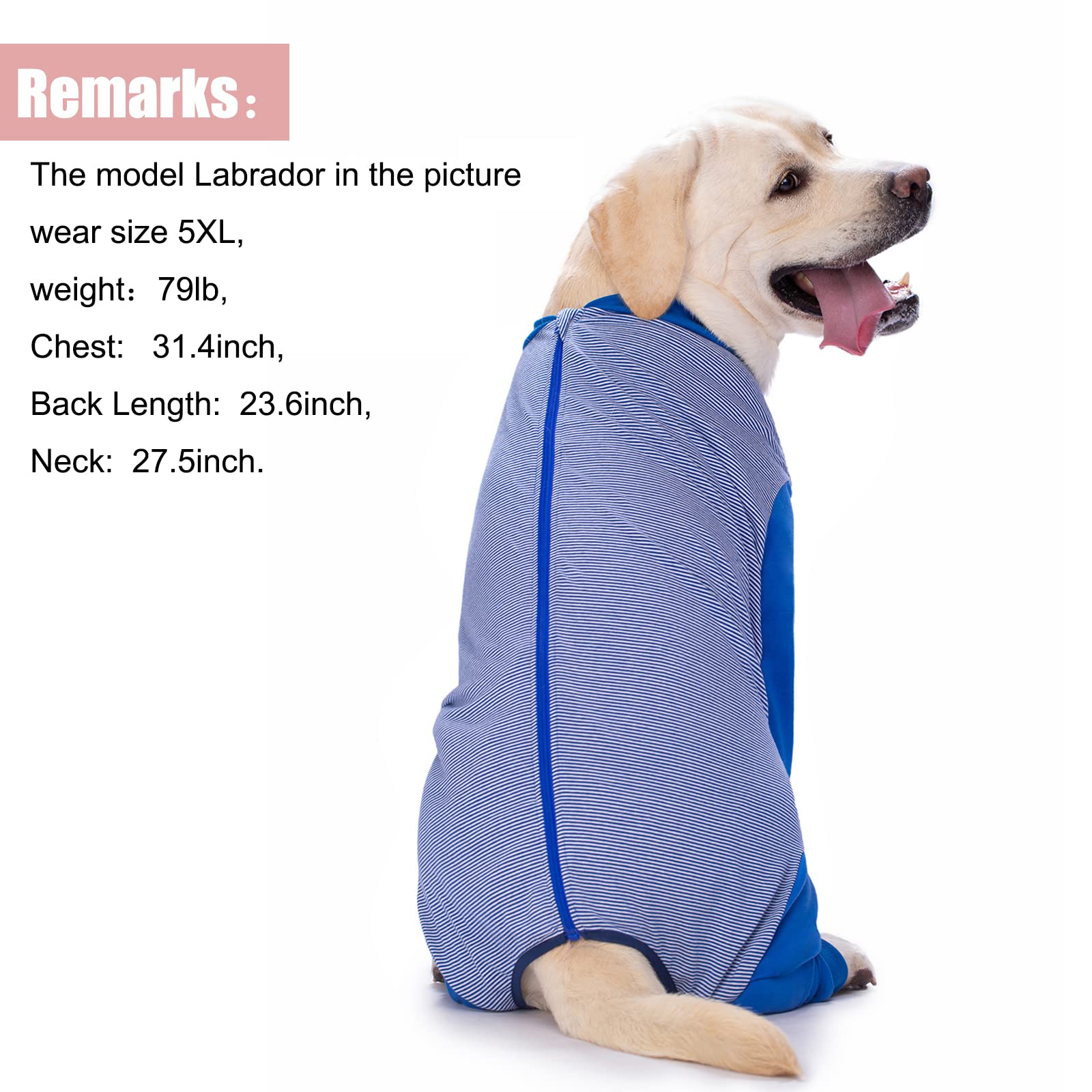 Yeapeeto Dog Onesie abdominal-round-design with a side seam for male dogs.