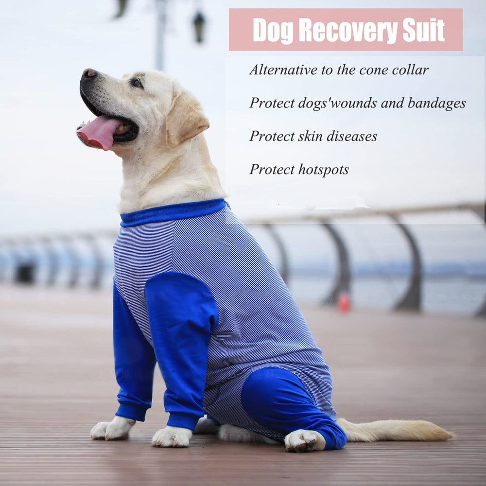 Yeapeeto abdominal-round-cut design eases male dogs' bathroom routines while wearing.