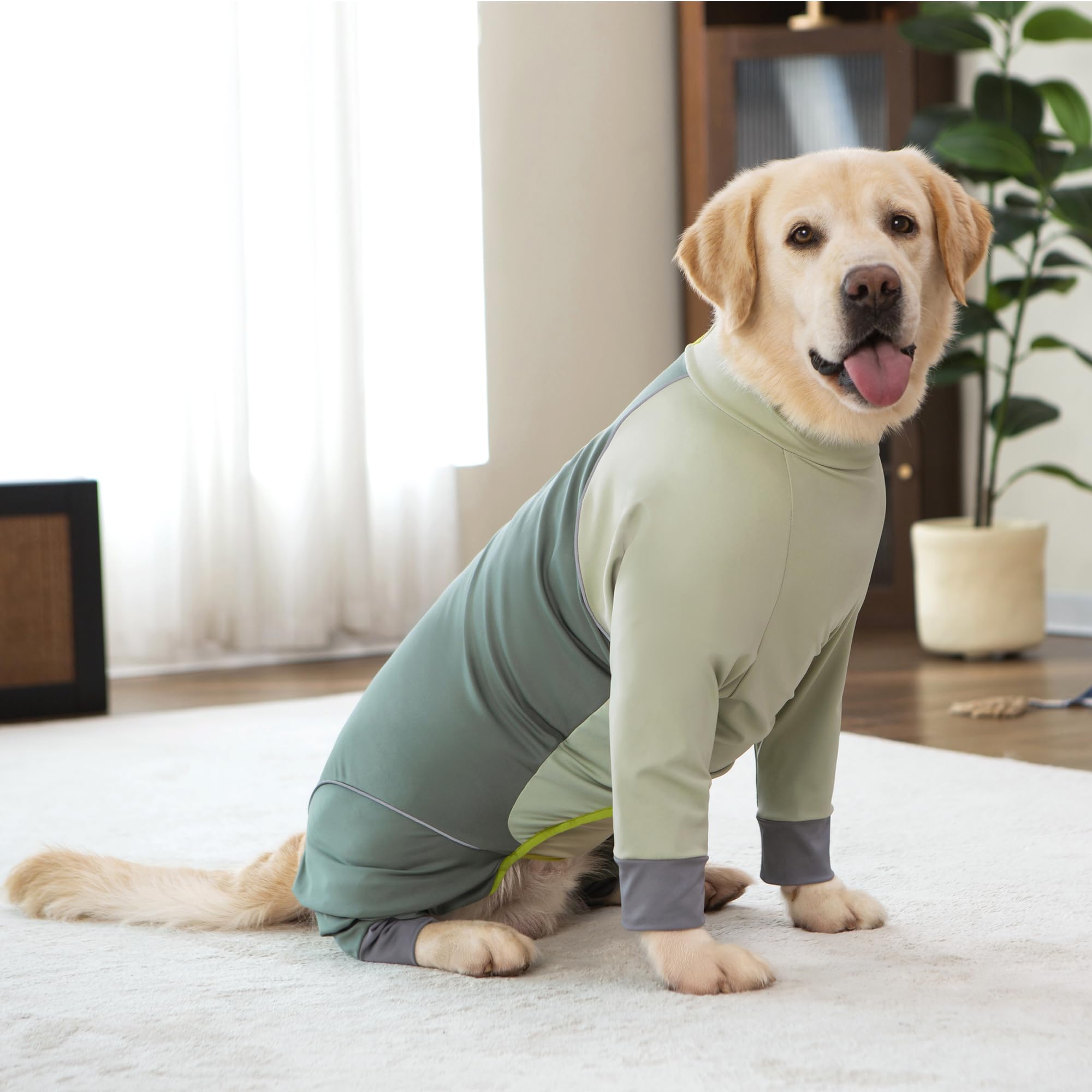 Yeapeeto Olive-Green Dog Onesie Coat delivers style and practicality for daily adventures.