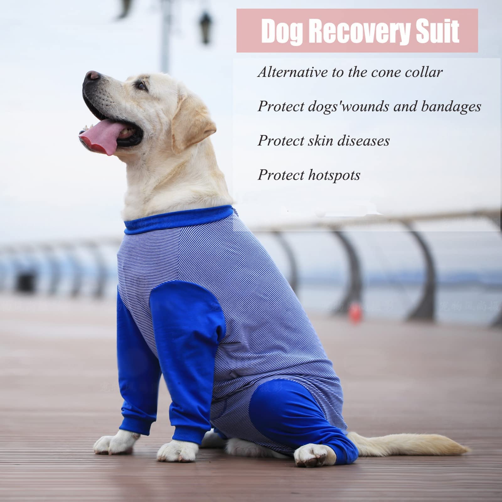 Yeapeeto Dog Onesie machine-washable fabric for easy care.