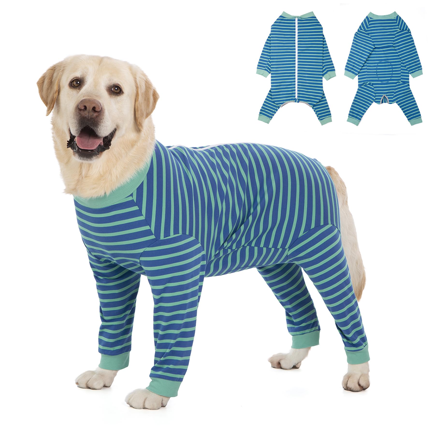 Yeapeeto dog onesie blue-green 5XL worn for recovery and comfort.