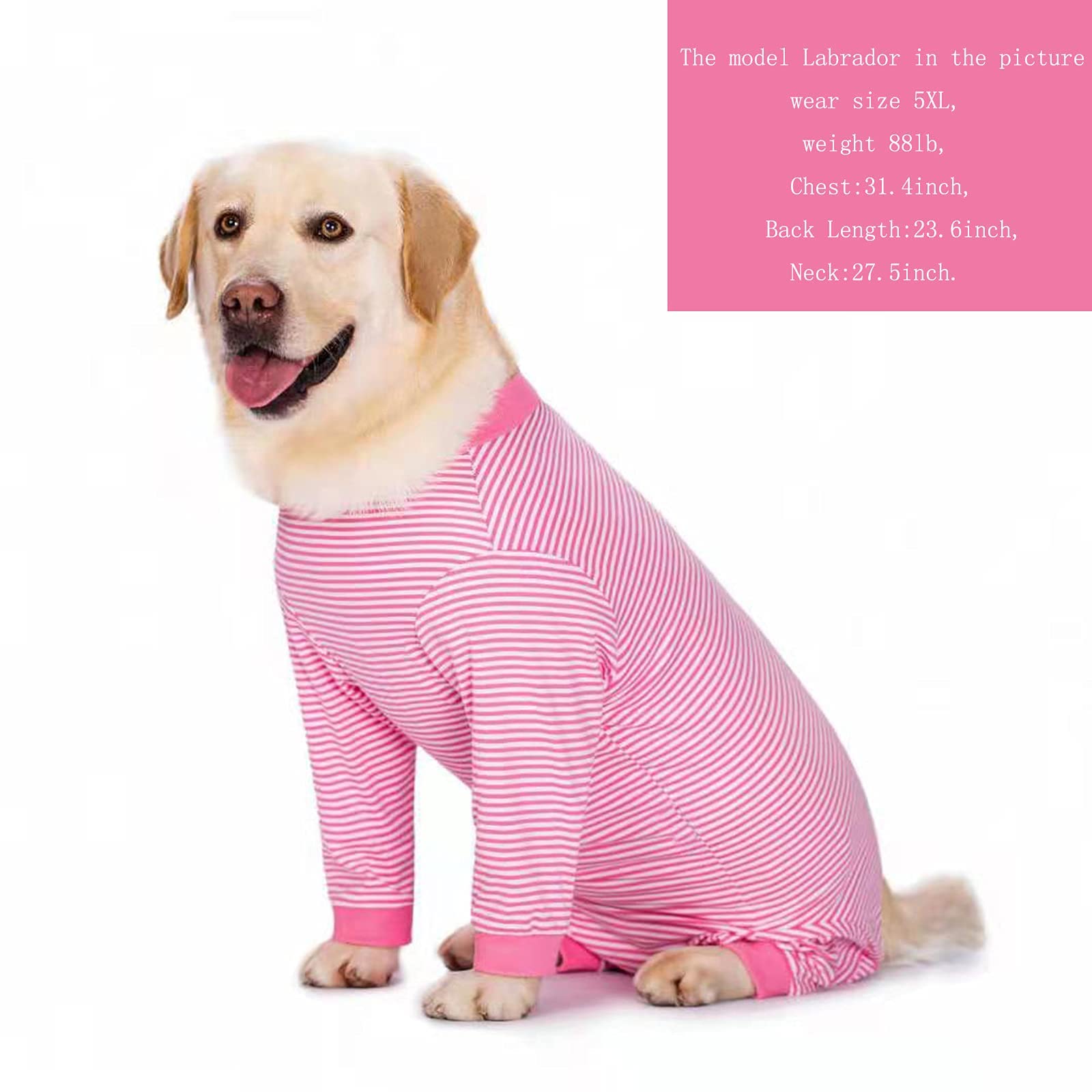 Yeapeeto dog onesie worn indoors to reduce shedding near furniture