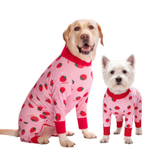 yeapeeto dog recovery suit strawberry-xl front view supports post-surgery comfort
