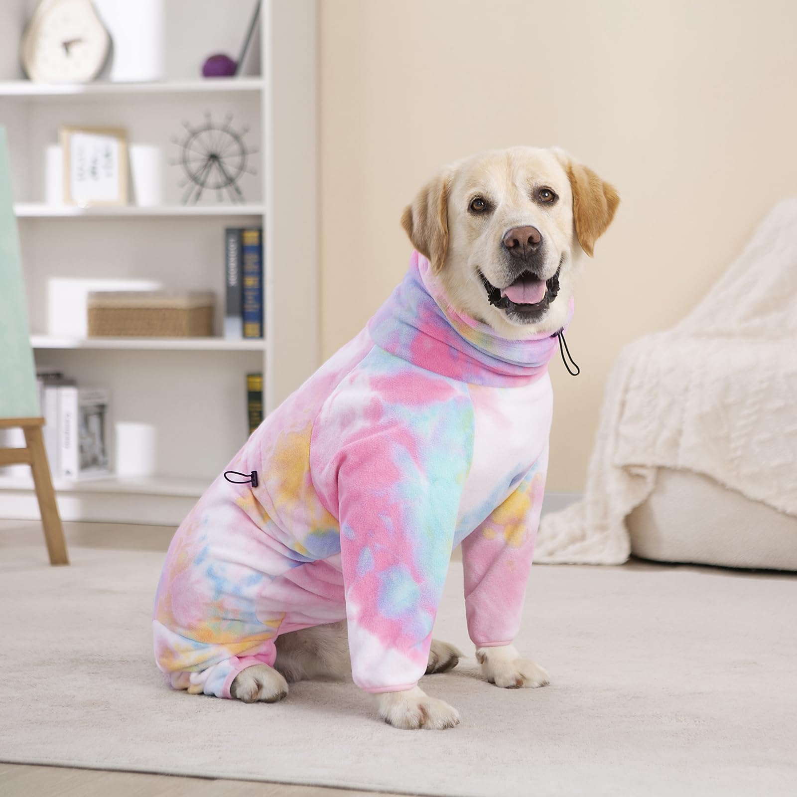 Yeapeeto zipper closure image demonstrating easy on/off for busy dogs