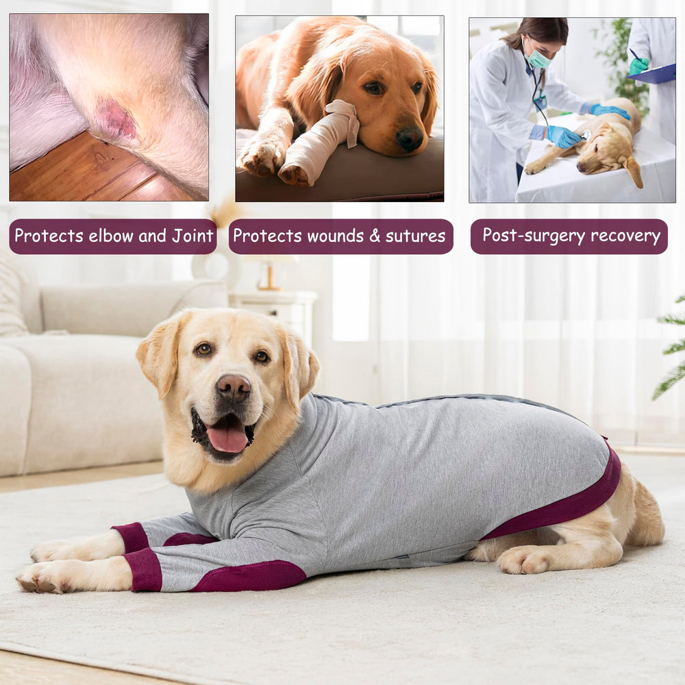 Yeapeeto medium-large breed elbow protector fits Labradors and Goldens