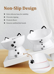 Yedio 15 oz capacity cat water bowl with tick marks to monitor intake.