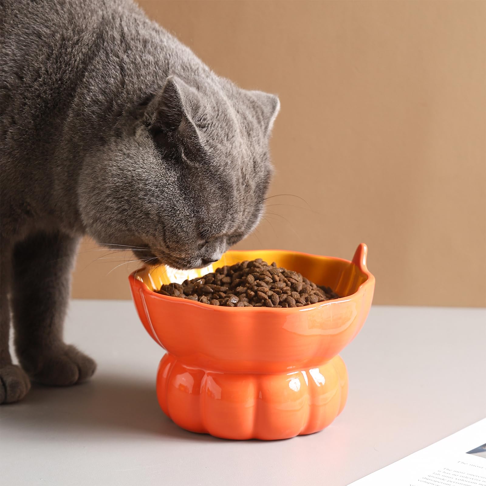 Yeexoxow pumpkin bowl in use during kitty mealtime demonstrating portion control.