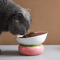 Yeexoxow strawberry-shaped cat dish highlights cute design while reducing whisker fatigue.