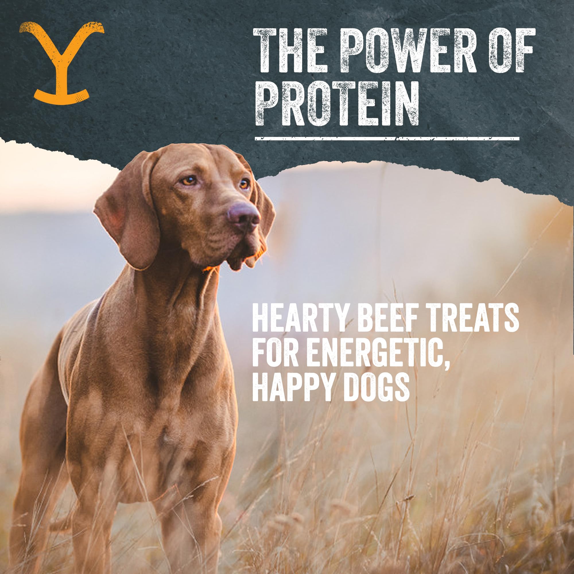 Yellowstone beef liver treats 8oz bag suggests convenient at-home rewards and portions.