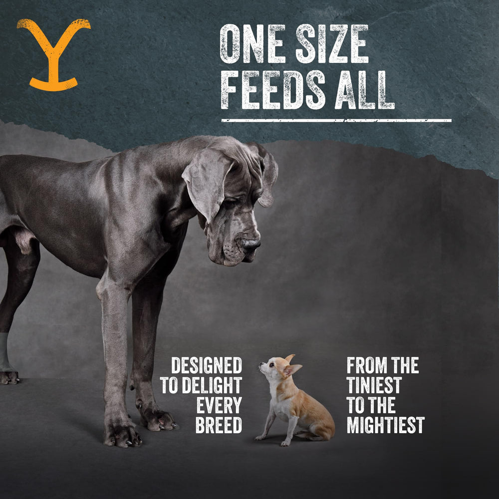 Yellowstone beef liver treats pet-joy image hints at happy mealtimes and eager canine anticipation.