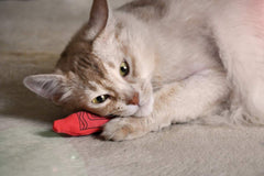 YEOWWW! catnip crayon blue cat play—durable cotton twill stands up to enthusiasm