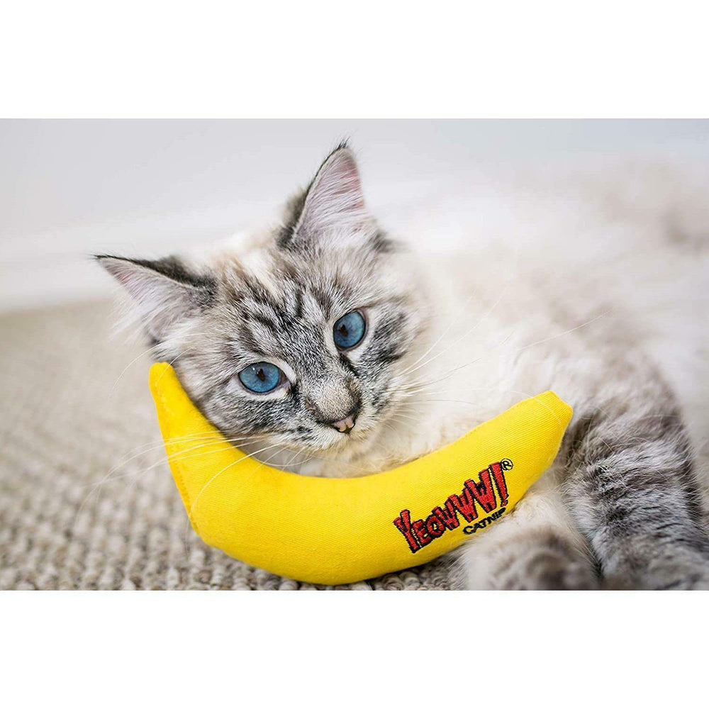 Yeowww! DuckyWorld Banana catnip packaging shows US-made quality and 3-pack value.