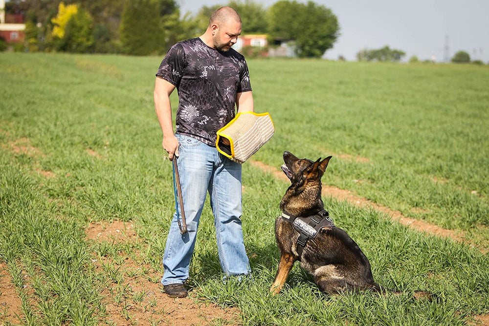 YES4QUALITY dog bite sleeve supports varied drills for k9 police and personal trainers.