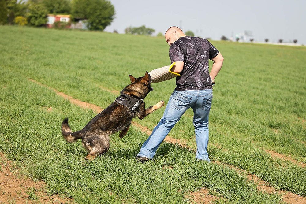 YES4QUALITY dog bite sleeve emphasizes safety during exercises and controlled practice.
