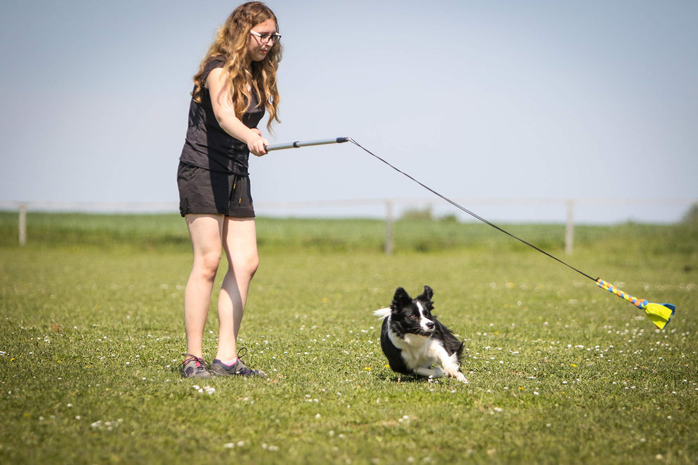 Juego exterior con YES4QUALITY, diversión para perros grandes