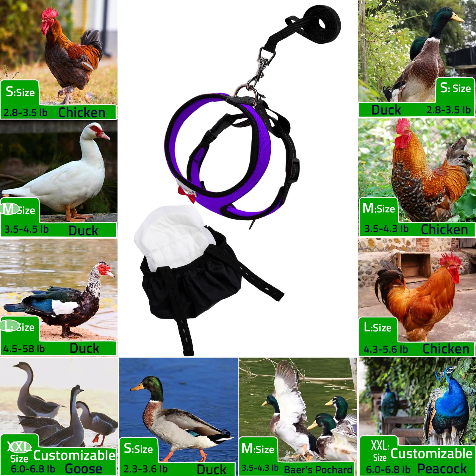 Yesito durable-nylon-leash resists wear through daily garden patrols.