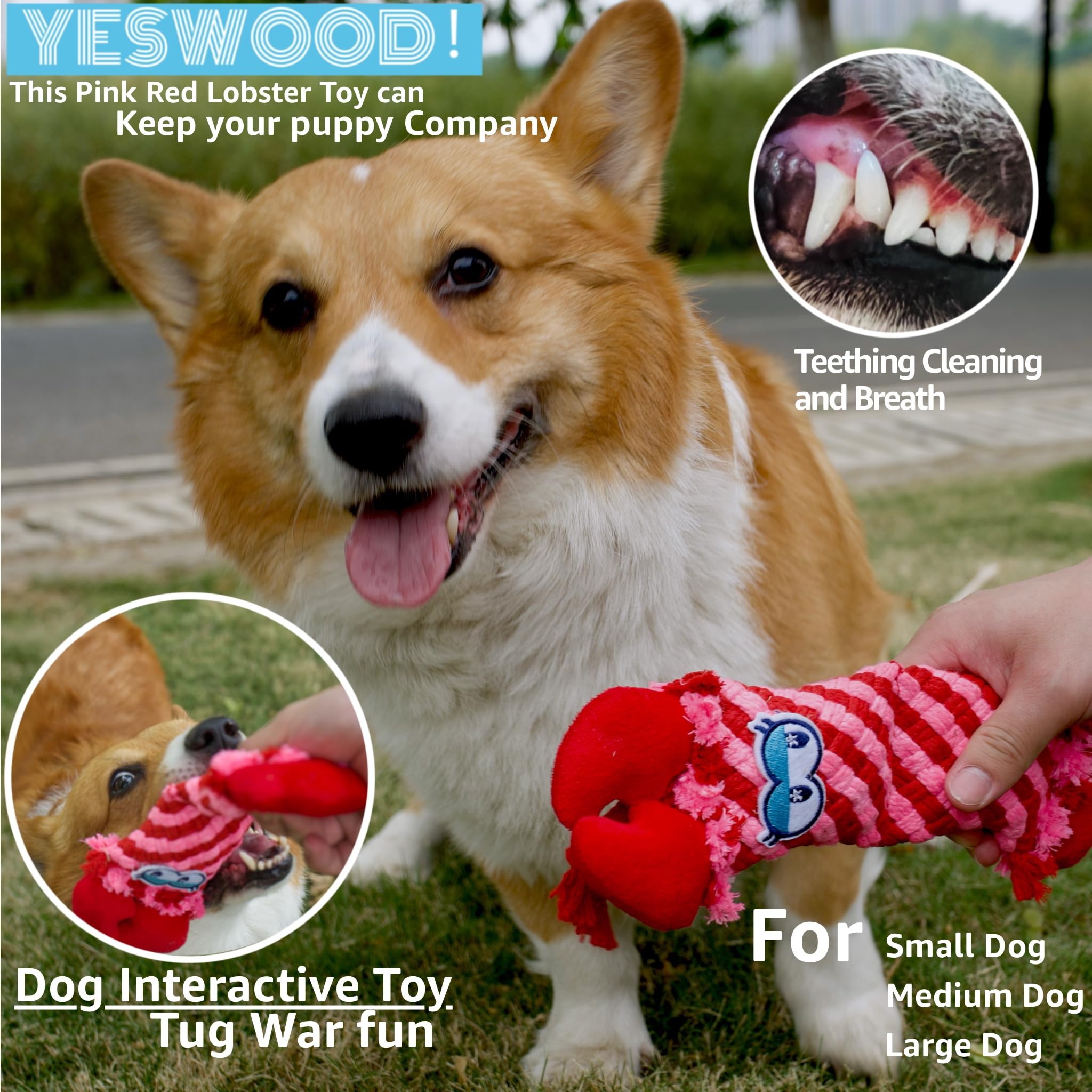 YESWOOD! interactive tug-and-fetch toy encourages dogs to engage with you and burn energy.