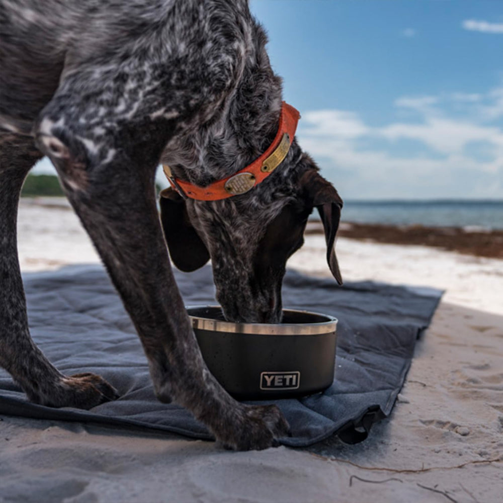 YETI Boomer durable dog bowl built for daily use and travel.