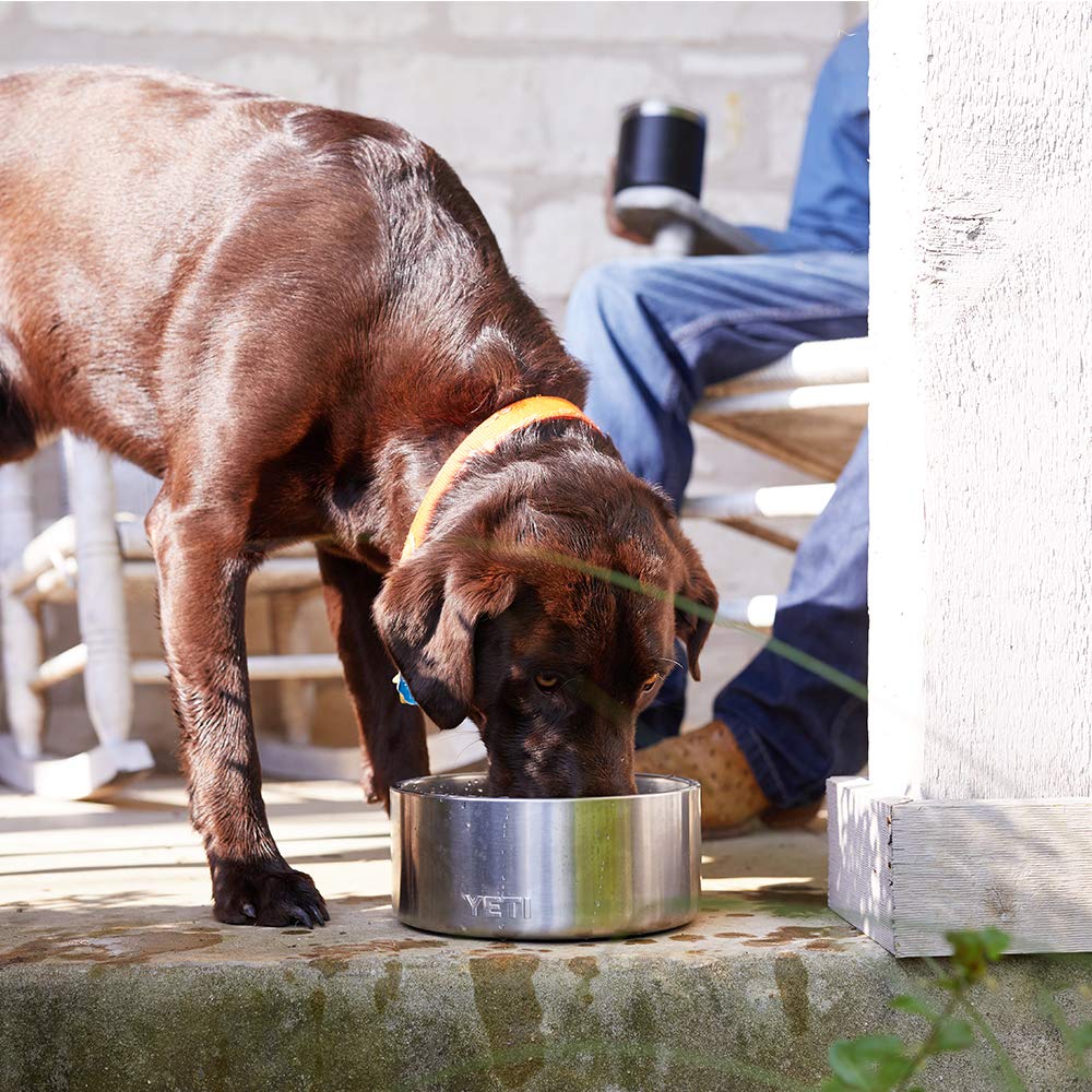 YETI Boomer 8 water-filled shot - ample hydration for pets