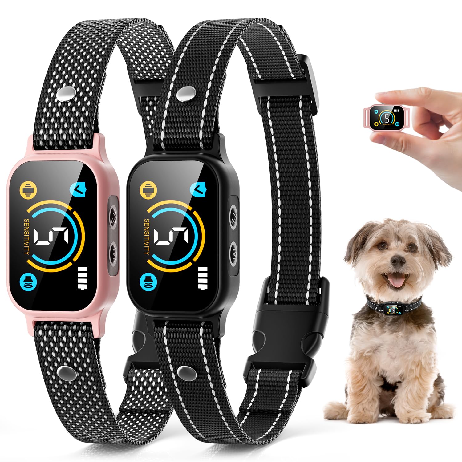 Yetogib 2-pack bark collar worn on a small dog during a calm night walk for calmer behavior
