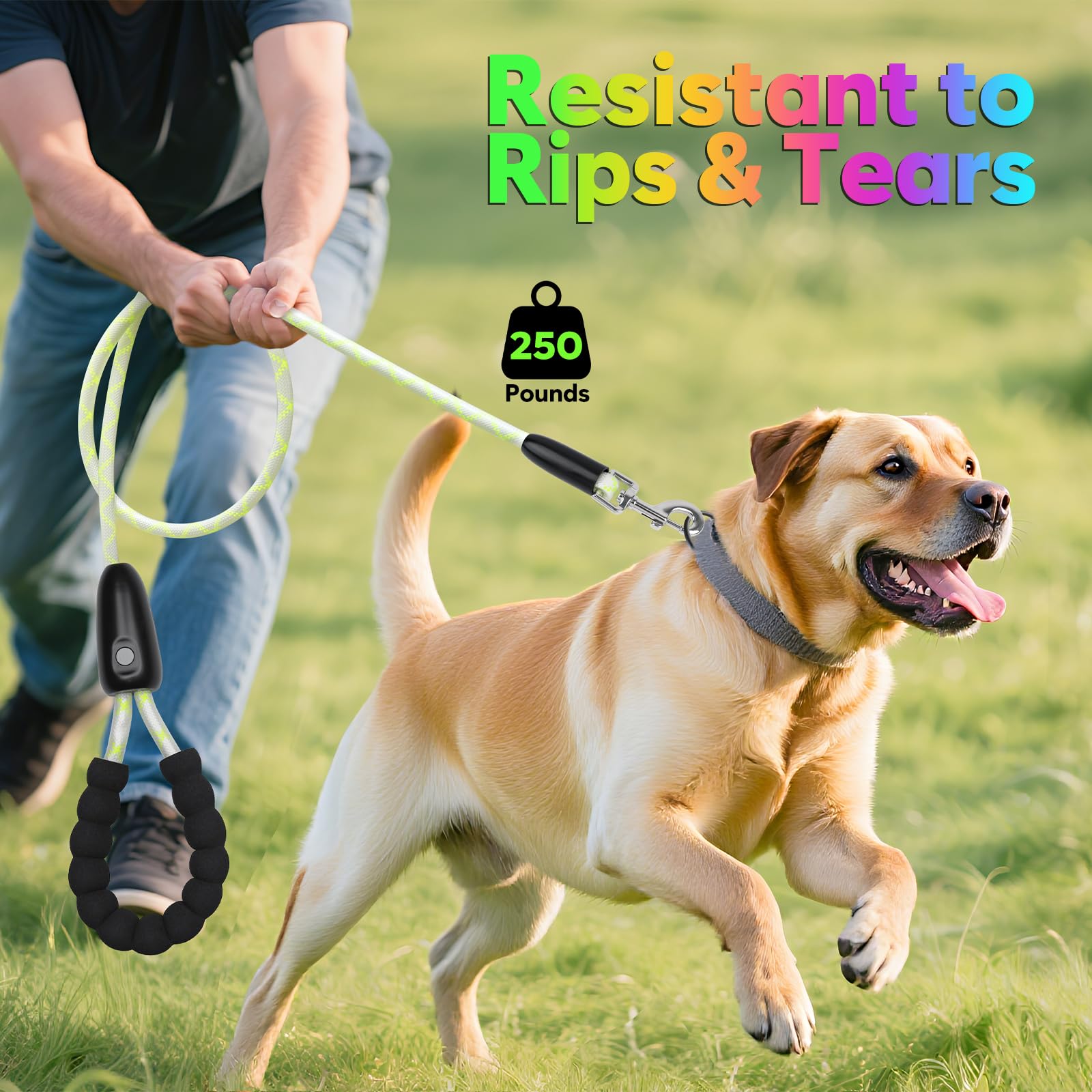 YFbrite dog leash includes a heavy-duty clasp for daily reliability.