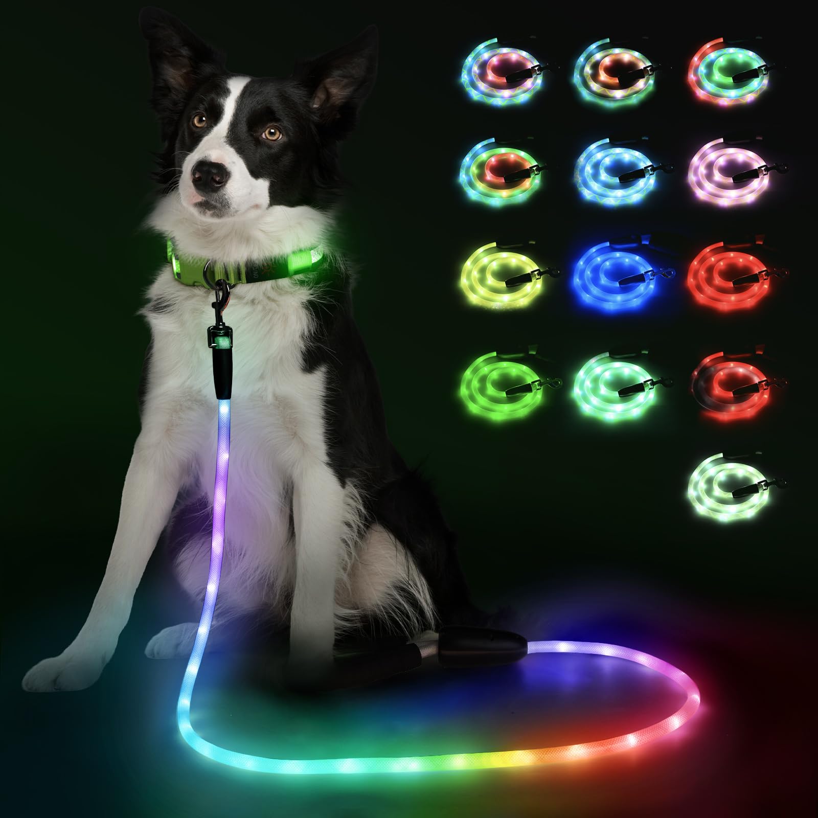 YFbrite dog leash shows ultra-bright 360-degree illumination for safer nighttime walks.