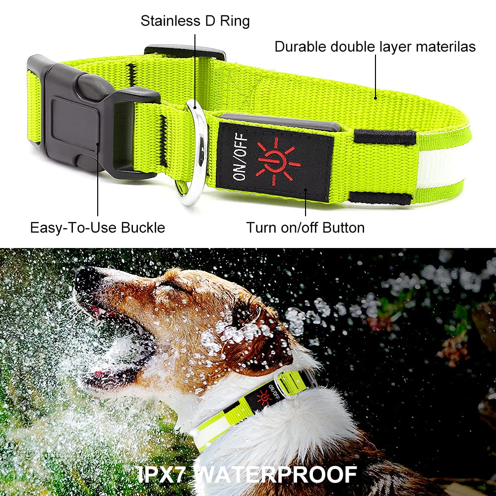 YFbrite LED Dog Collar adjustable quick-release on a large dog