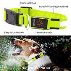 YFbrite LED Dog Collar adjustable quick-release on a large dog