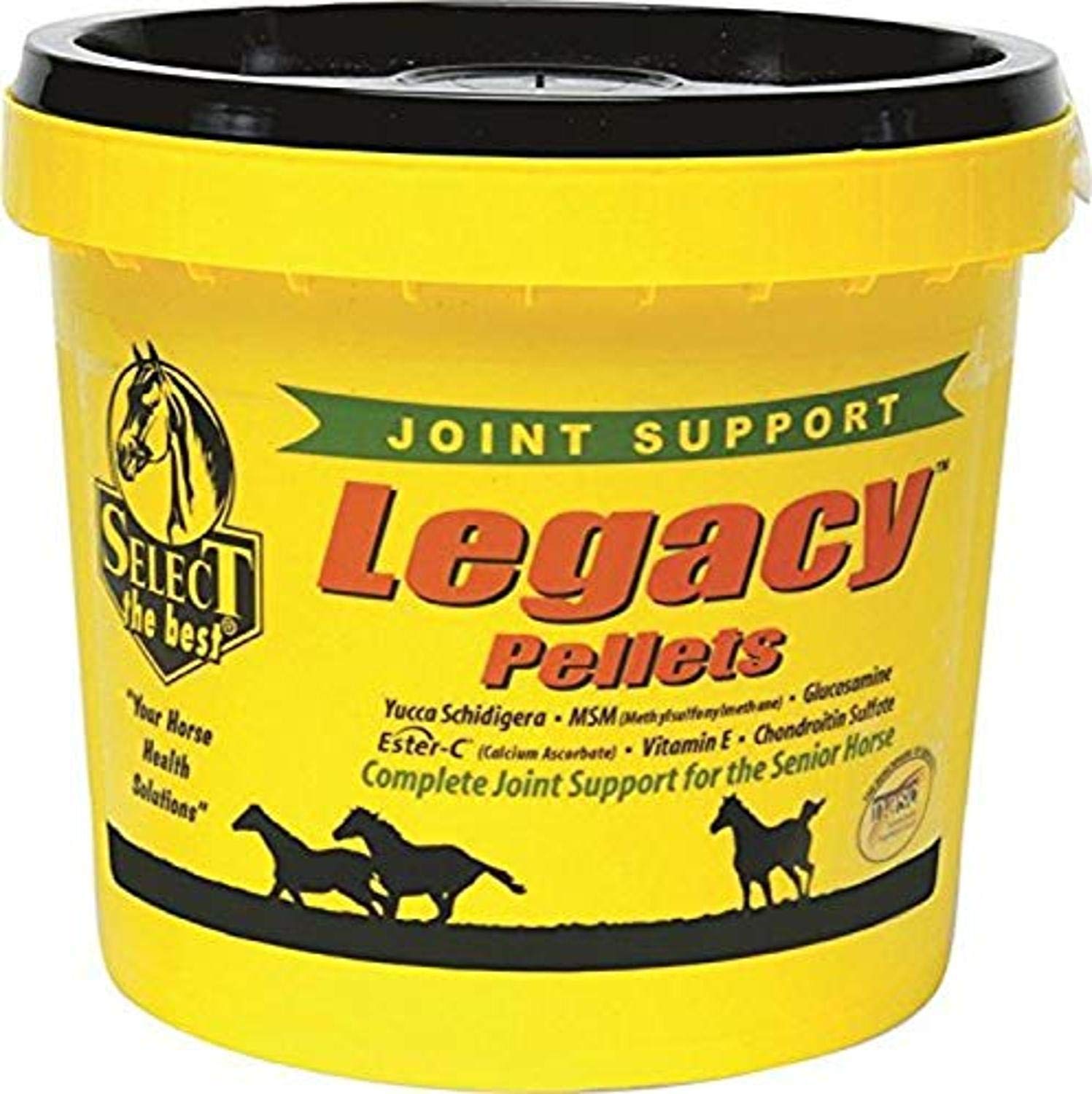 YFCACT RichDel Legacy Pellets for senior horses, joint support, easy feeding in daily routines