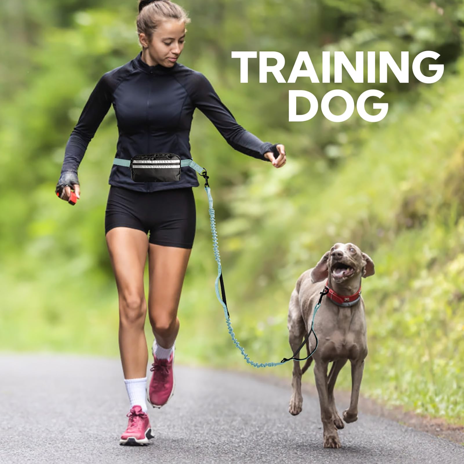 Yicostar hands free leash with pouch shown as a gift idea for dog lovers