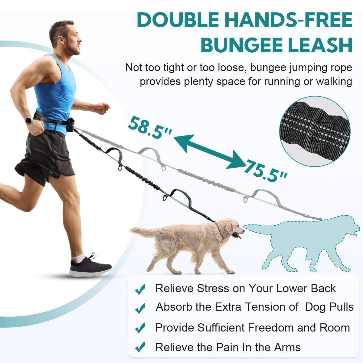 Yicostar double dog leash for two dogs enabling synchronized, controlled walks.