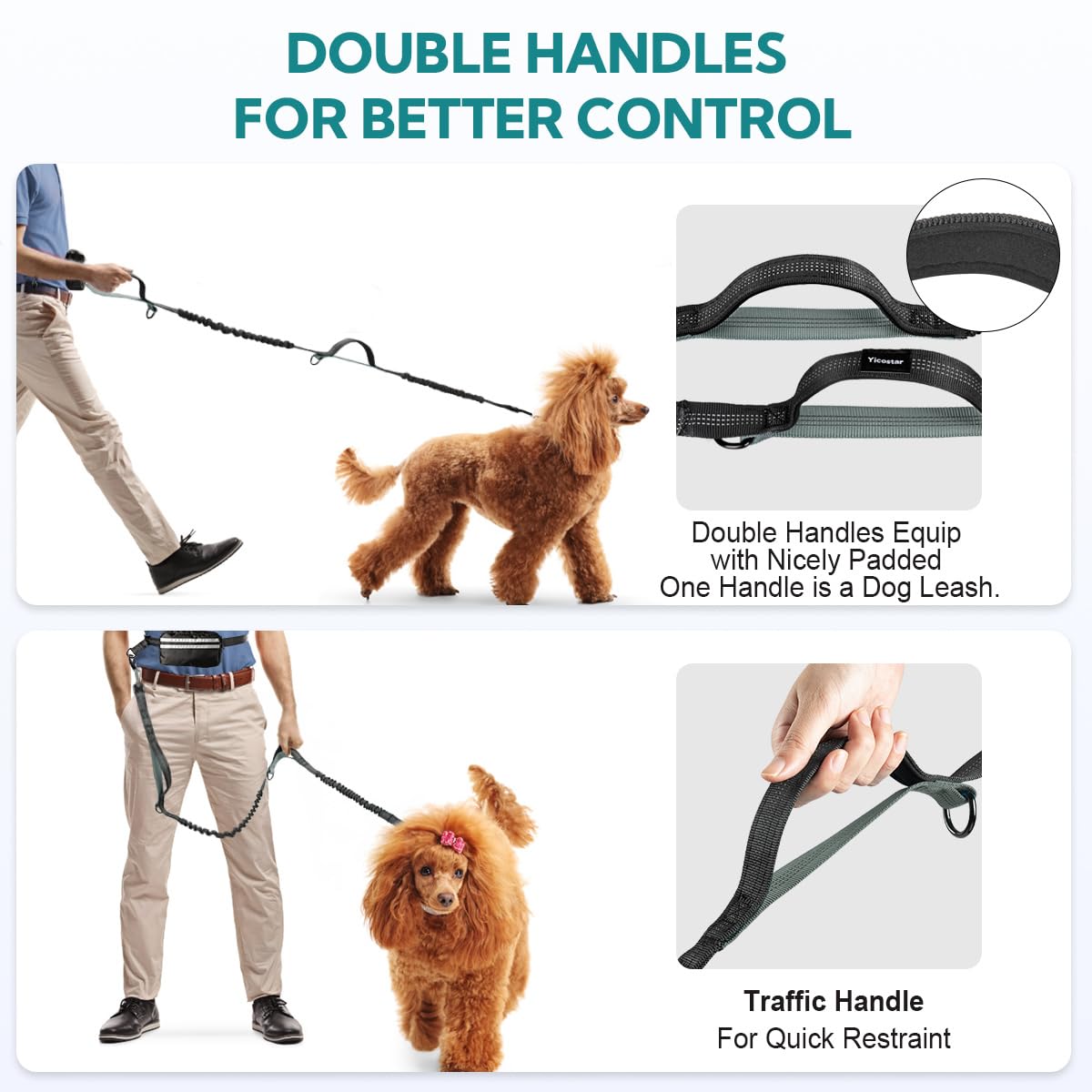 Yicostar leash with reinforced clasps highlights secure connection for two dogs.