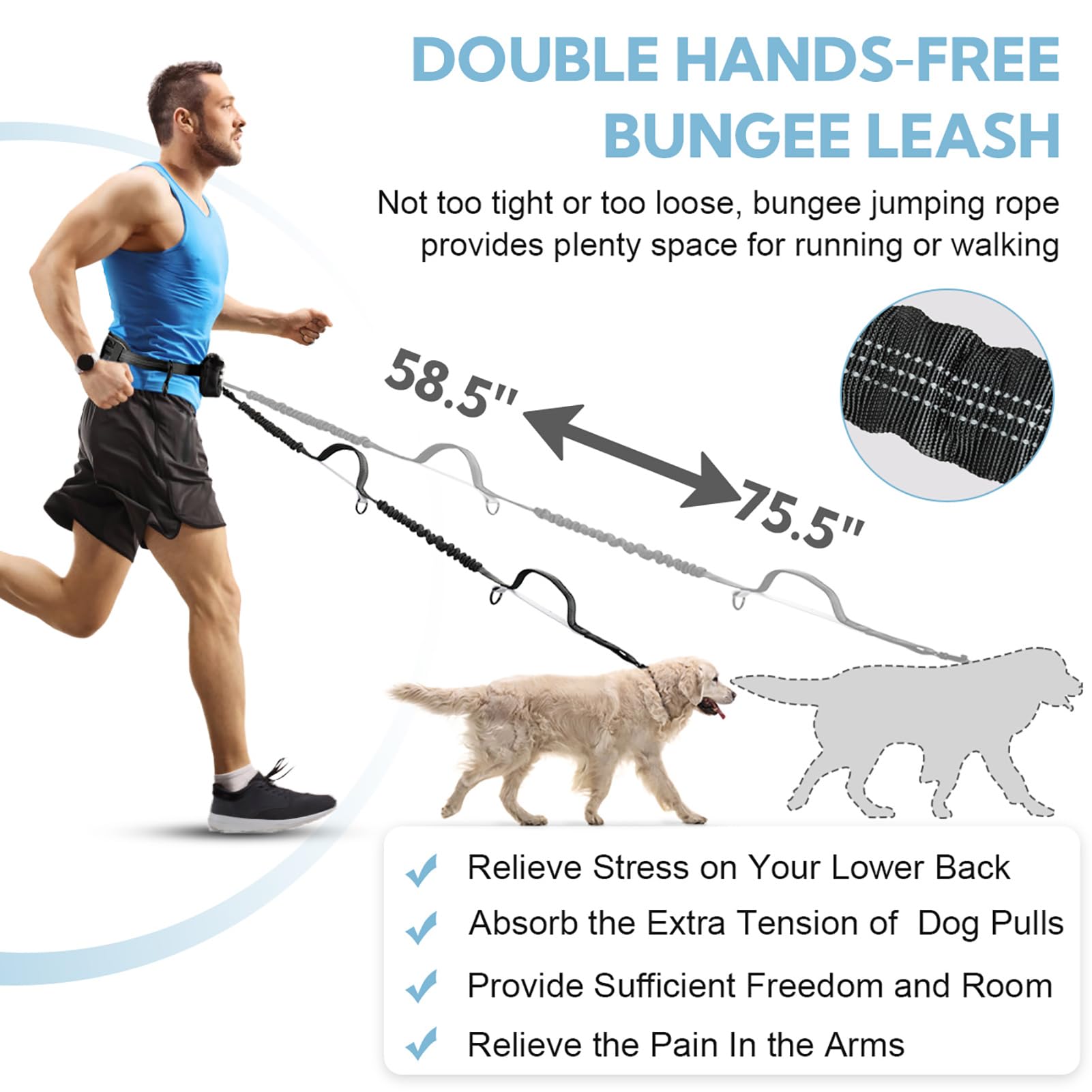 Yicostar retractable bungee leash provides forgiving give during energetic pulls.