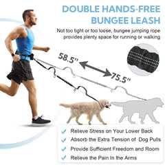 Yicostar retractable bungee leash provides forgiving give during energetic pulls.