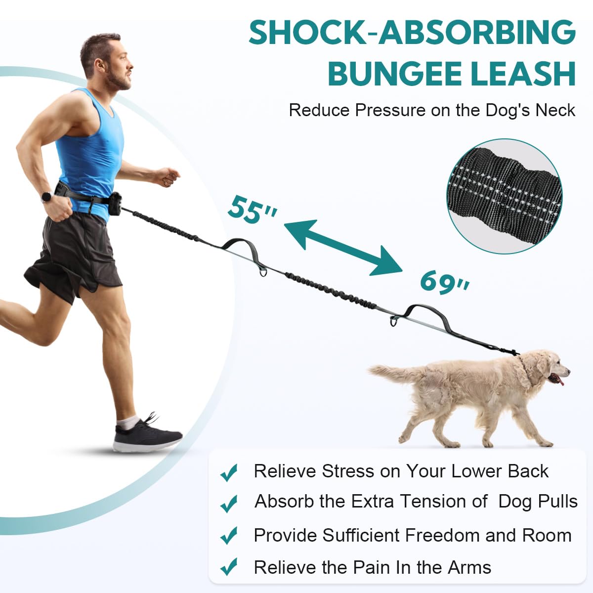 Yicostar retractable bungee leash demonstrates adjustable tension during jogs.
