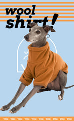 Yigi adjustable drawstring closeup shows customizable snug fit on a dog