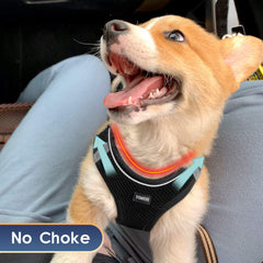 YIMEIS-leash-5ft-reflective shows visible safety during evening walks.