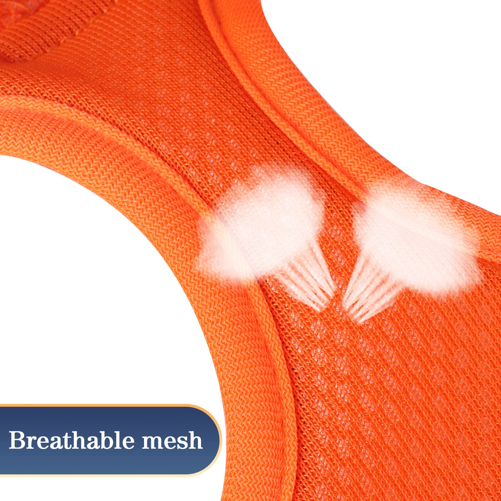 YIMEIS pack includes harness and leash for value-packed convenience.