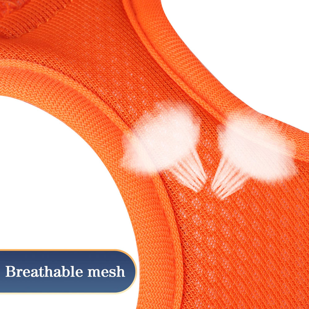 YIMEIS pack includes harness and leash for value-packed convenience.