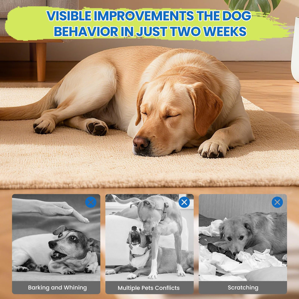 Yingsu dog calming diffuser dog-relaxed captures a dog settling into calm.