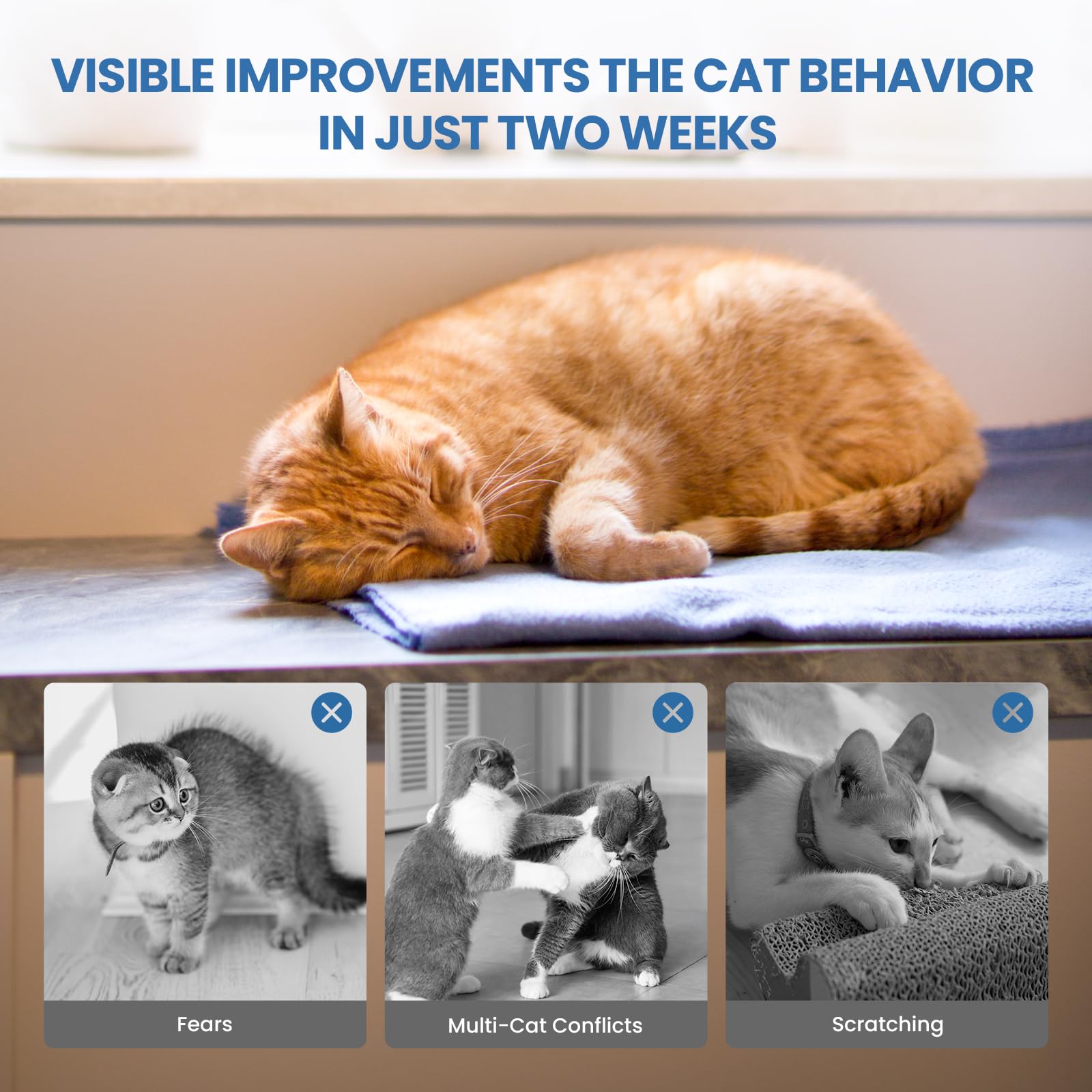 Yirr cat calming diffuser refills 48ml illustrate easy, ongoing use.