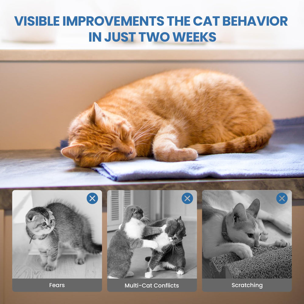 Yirr cat calming diffuser refills 48ml illustrate easy, ongoing use.