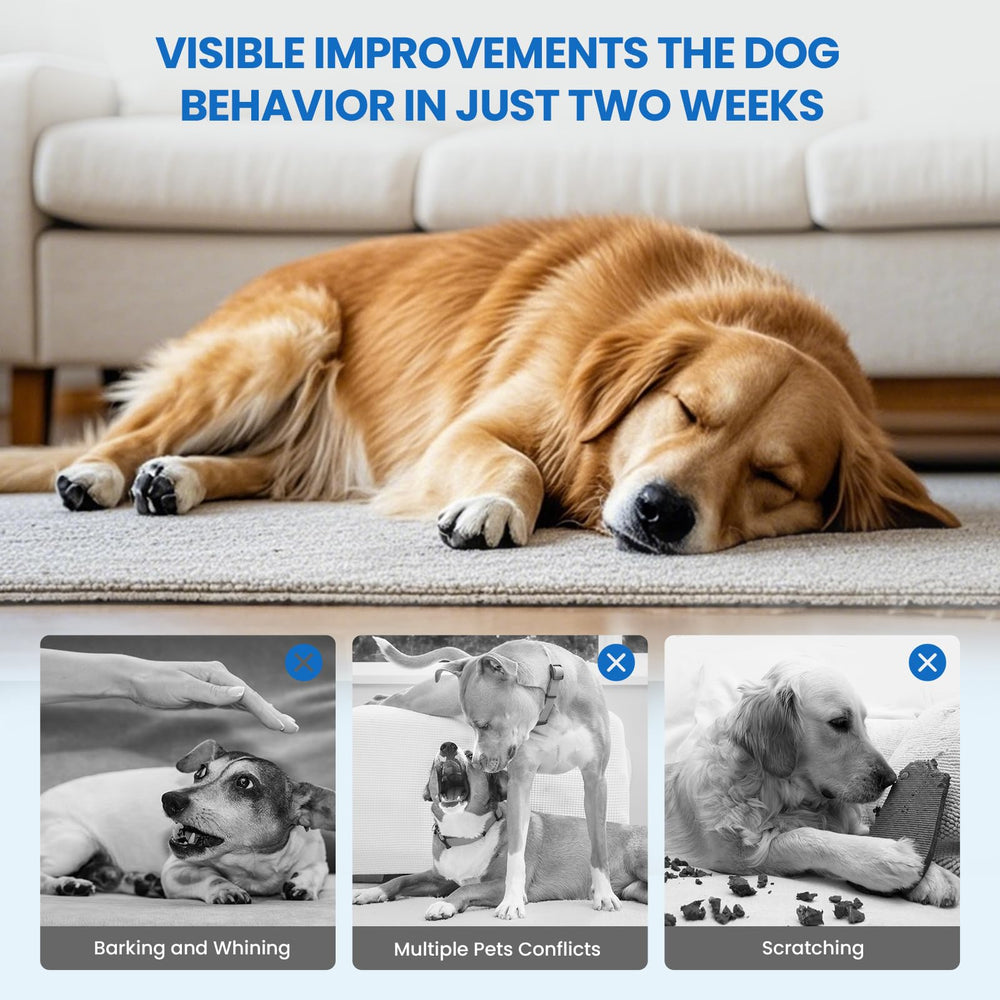 Yirr dog calming diffuser in use as dog relaxes nearby