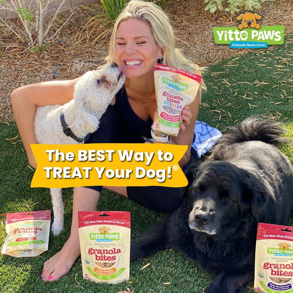 Yitto Paws strawberry peanut butter flavor, appealing training reward