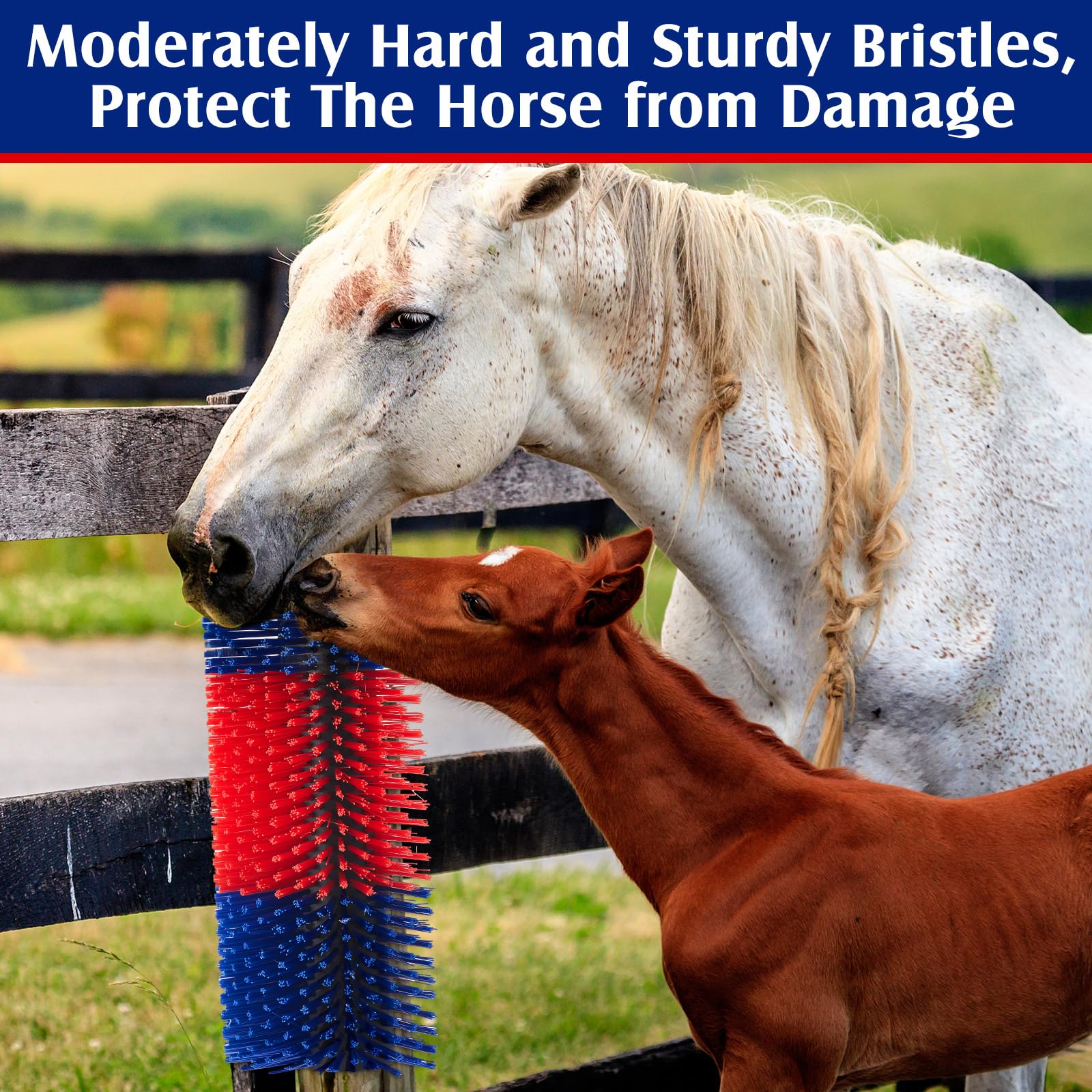 Yiyiring animal-wellbeing grooming with soft nylon bristles boosts cleanliness.