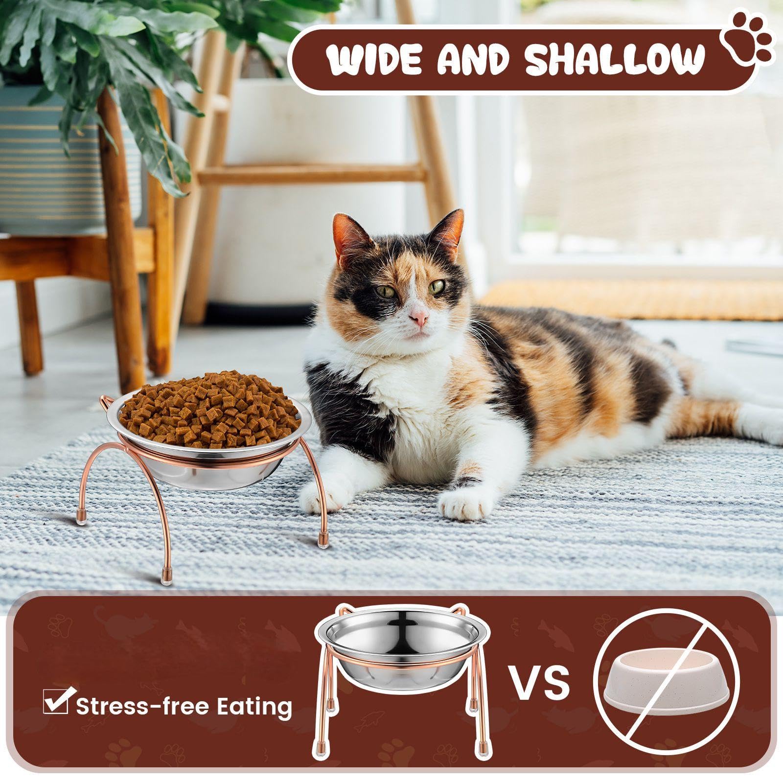 Yiyiring cat dining with elevated bowls—reduces neck strain during meals.