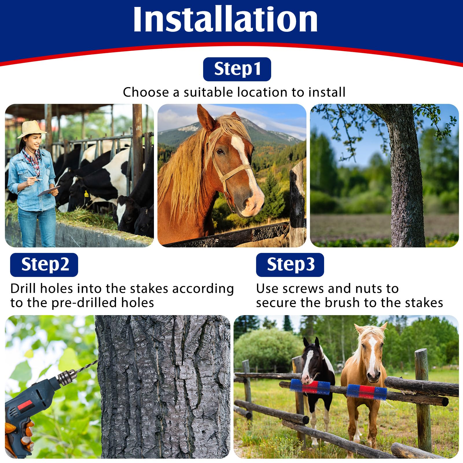 Yiyiring color-rich farm grooming tools on display inviting use for barn tasks.